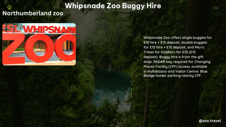 whipsnade zoo buggy hire