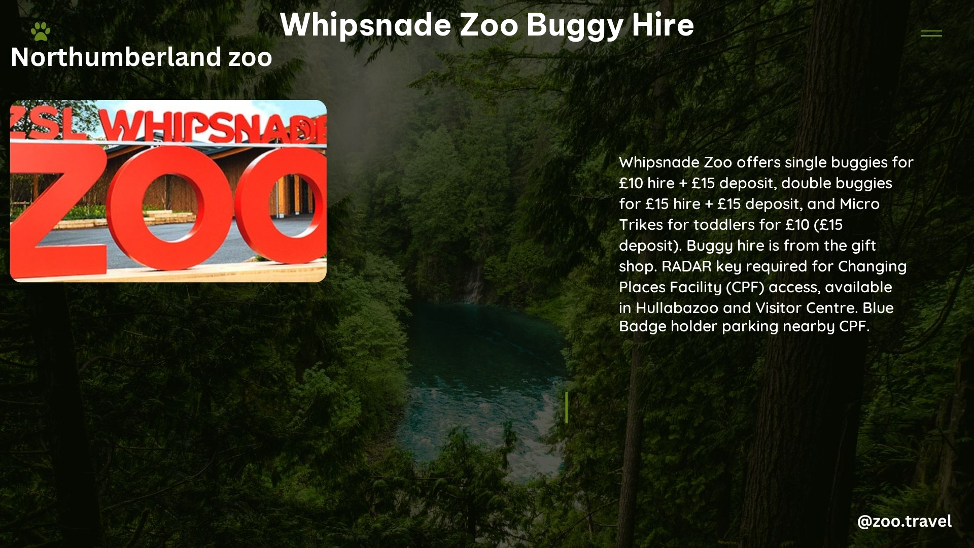 whipsnade zoo buggy hire