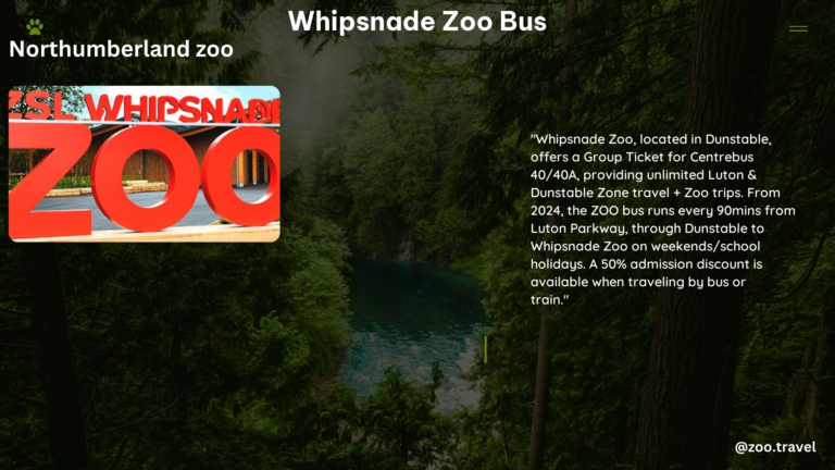 whipsnade zoo bus