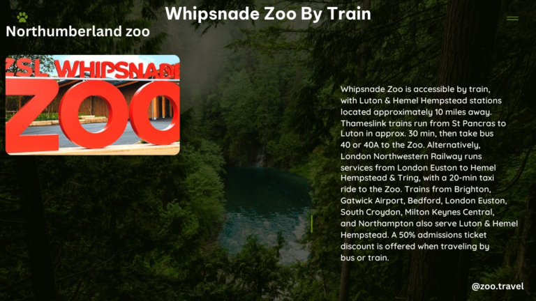 whipsnade zoo by train