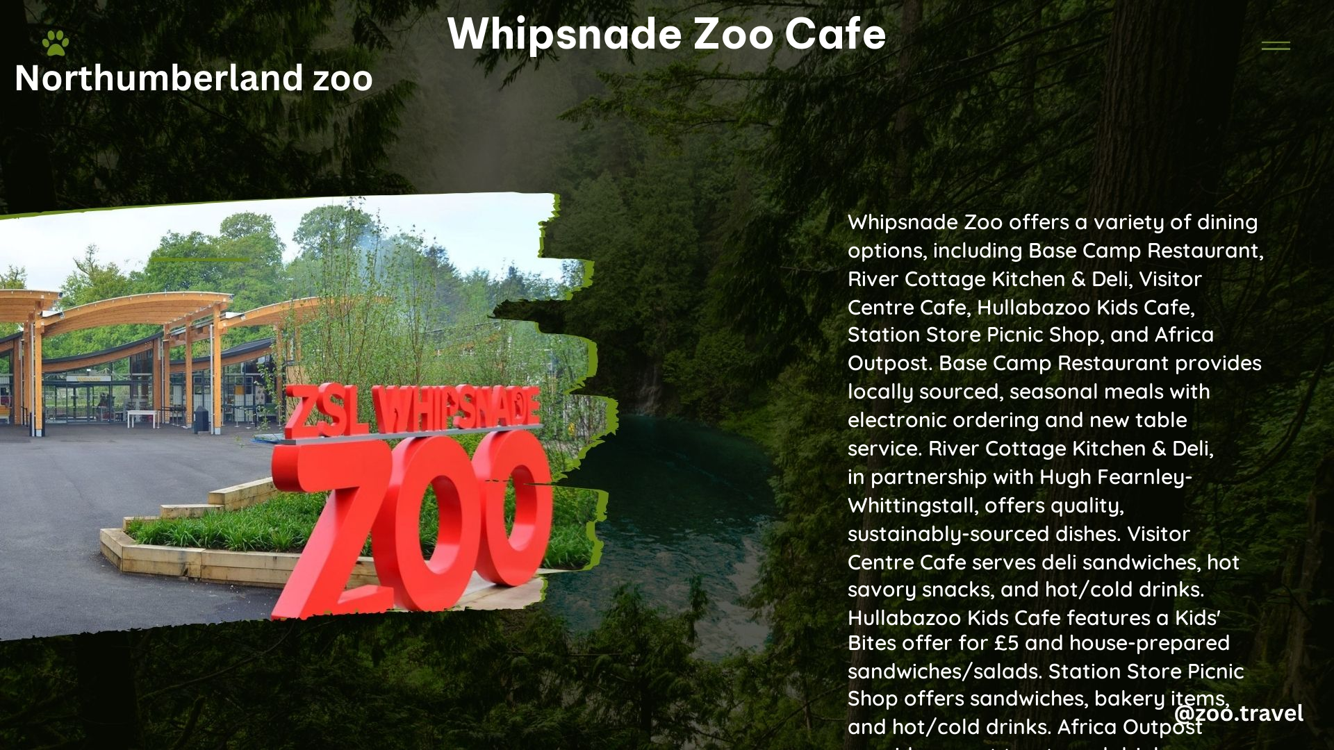 whipsnade zoo cafe