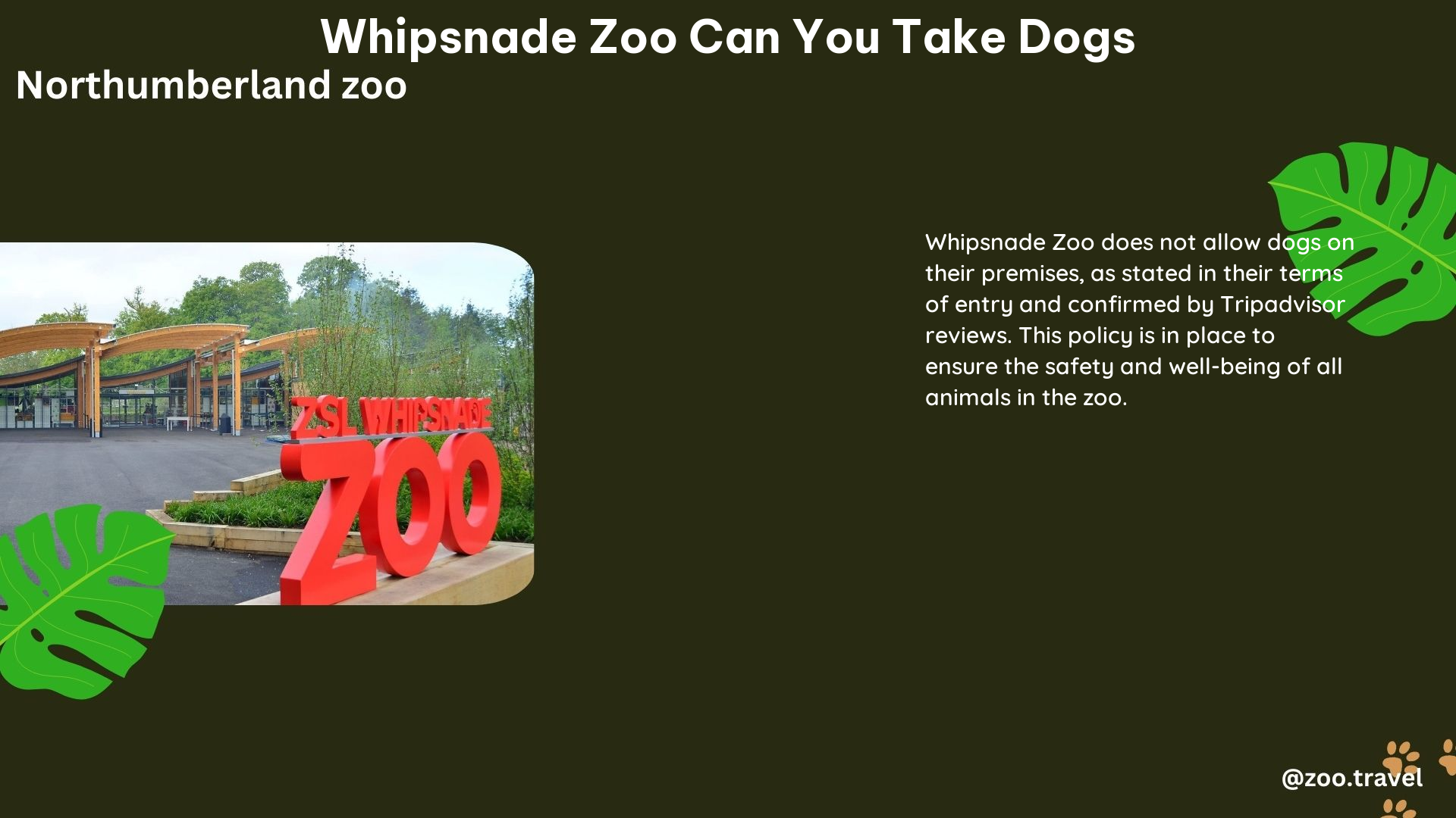 whipsnade zoo can you take dogs