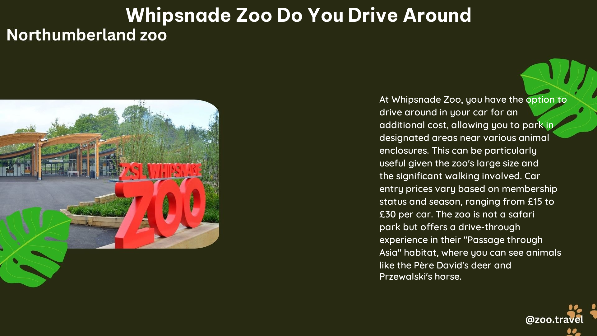 whipsnade zoo do you drive around