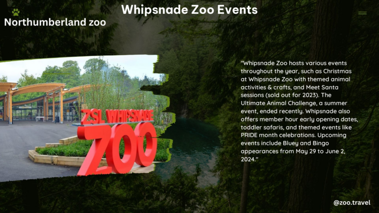 whipsnade zoo events