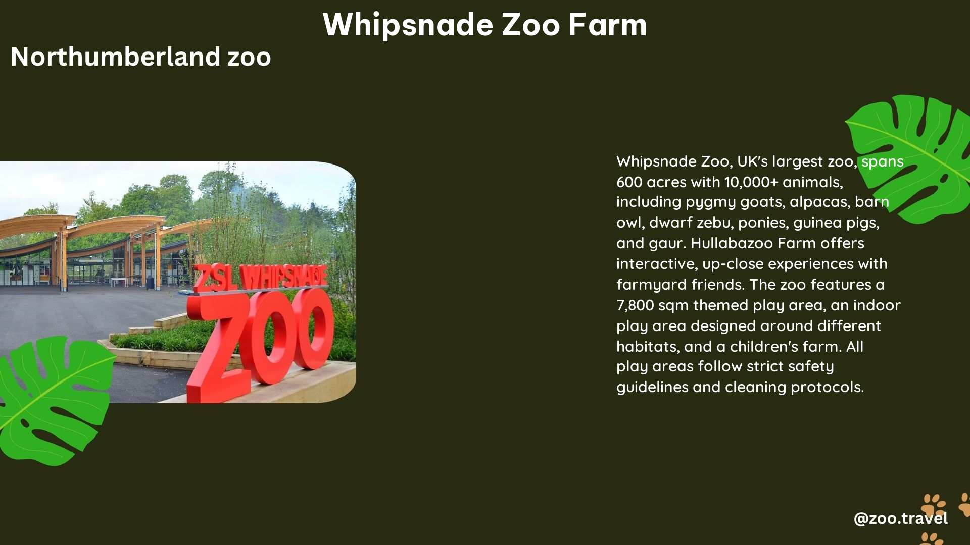 whipsnade zoo farm