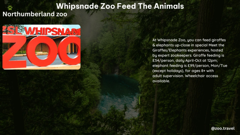 whipsnade zoo feed the animals