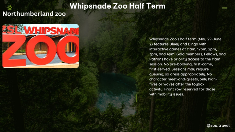 whipsnade zoo half term