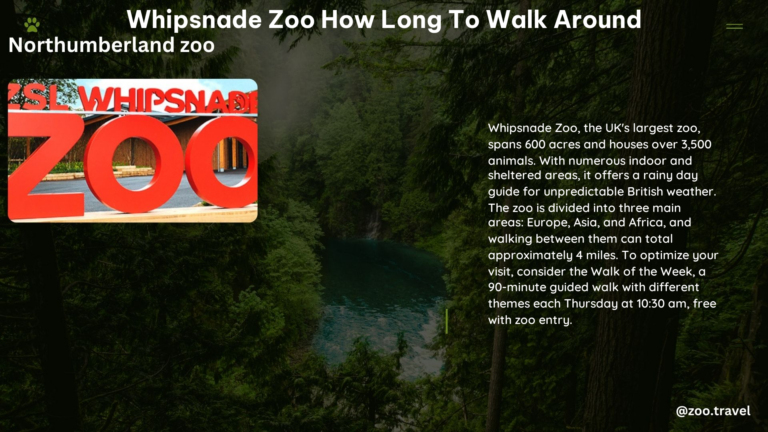 whipsnade zoo how long to walk around