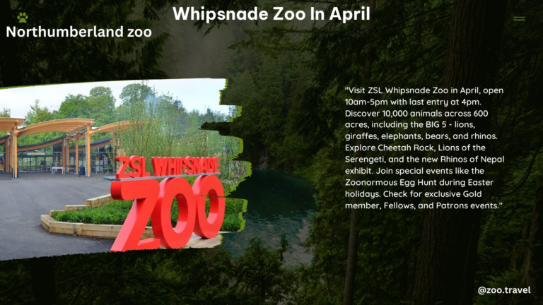 whipsnade zoo in April