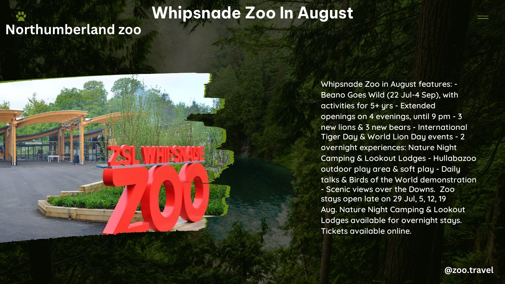 whipsnade zoo in August