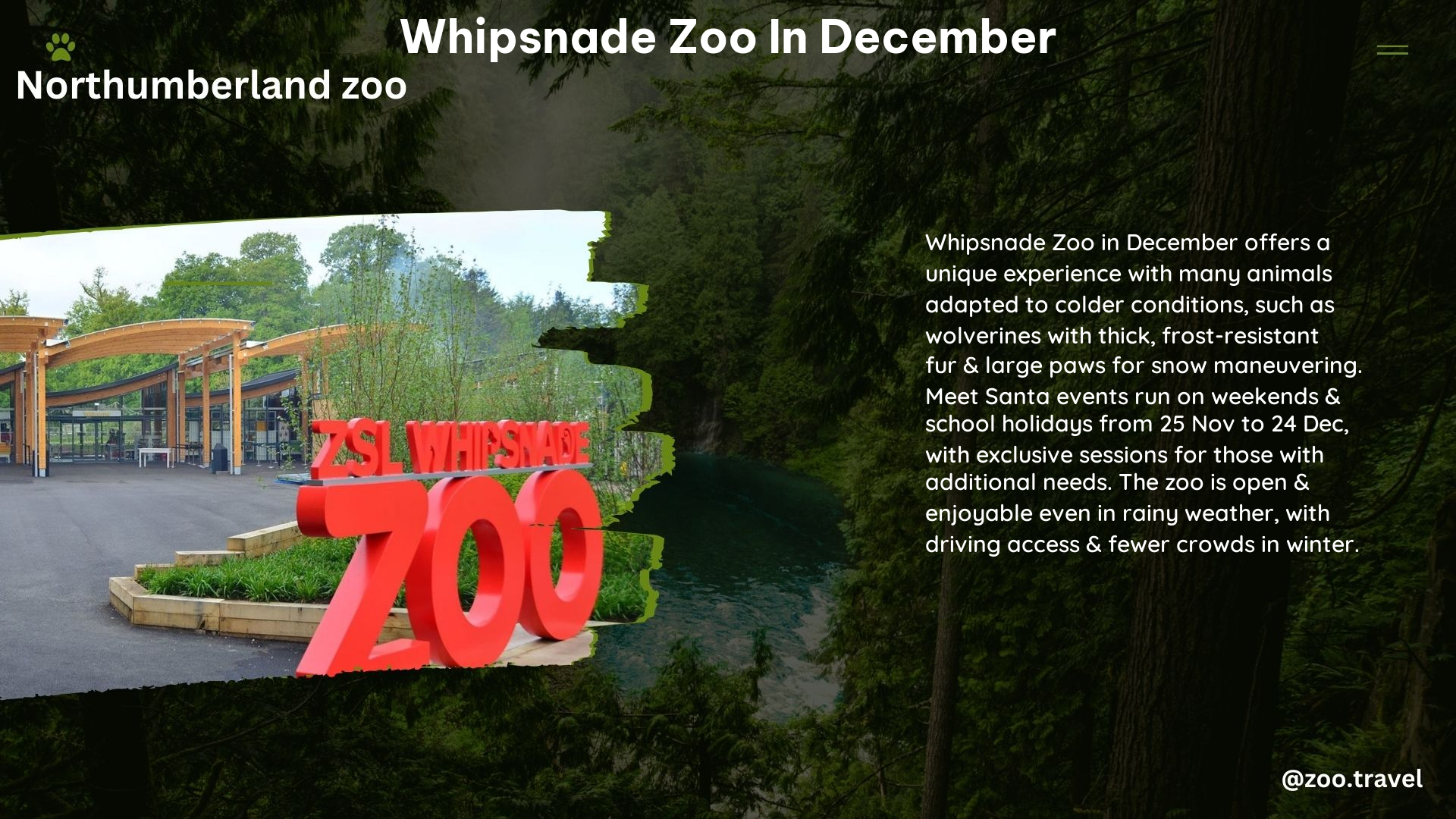 whipsnade zoo in December