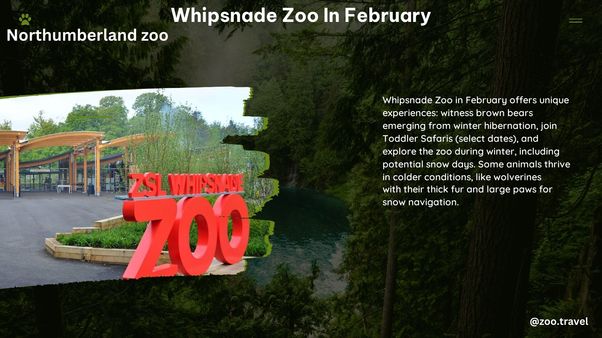 whipsnade zoo in February