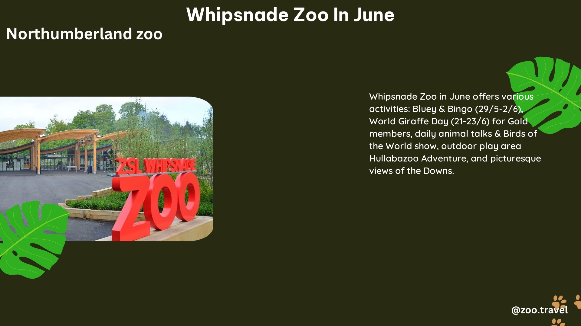 whipsnade zoo in June