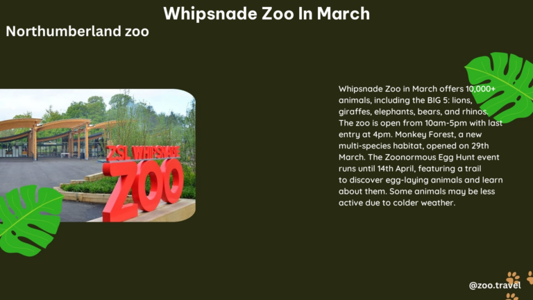 whipsnade zoo in March