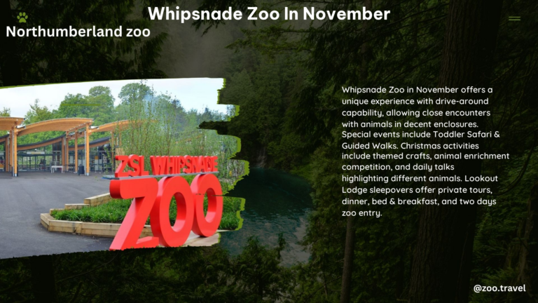 whipsnade zoo in November