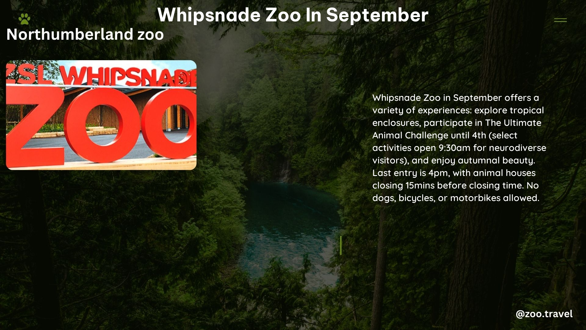 whipsnade zoo in September