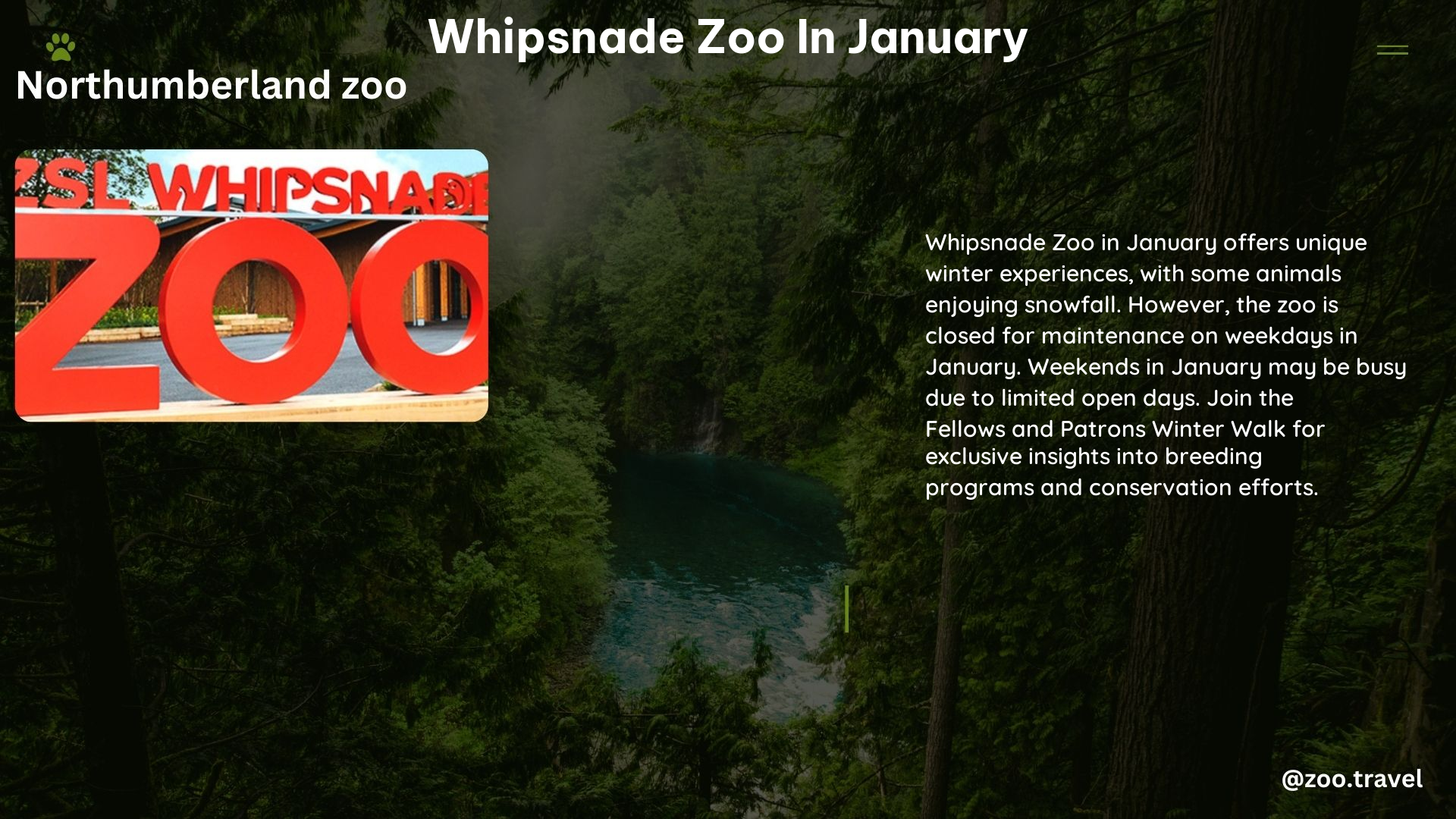 whipsnade zoo in january