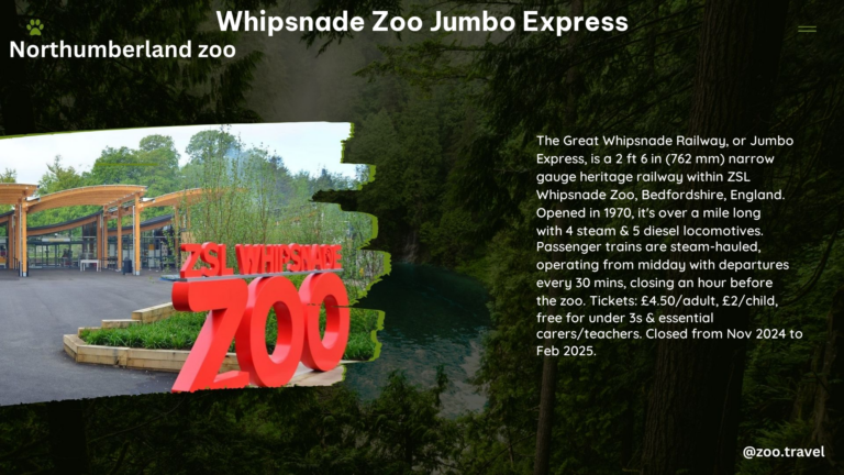 whipsnade zoo jumbo express