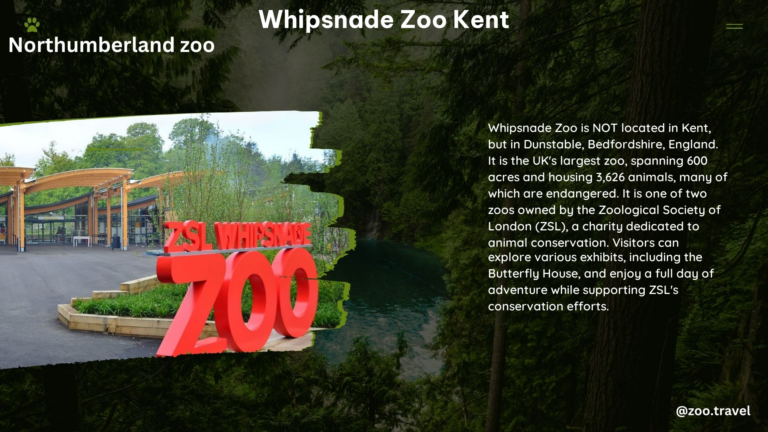 whipsnade zoo kent