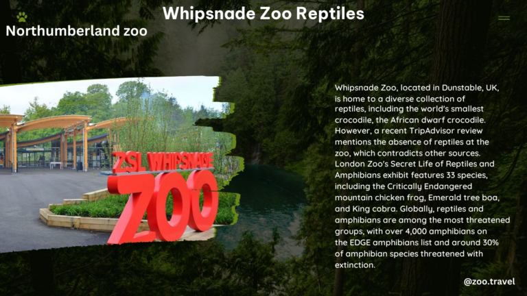 whipsnade zoo reptiles