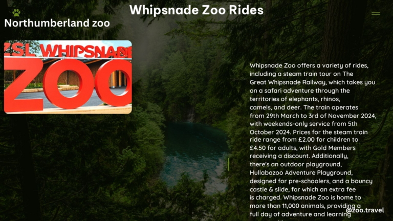 whipsnade zoo rides