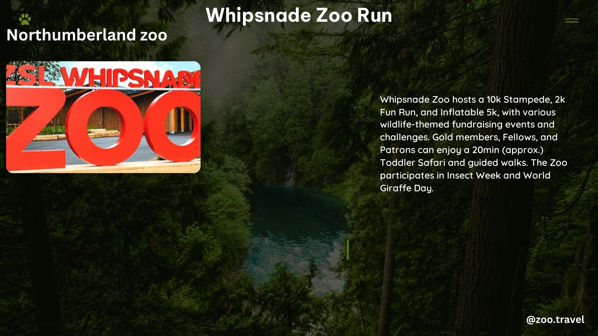 whipsnade zoo run