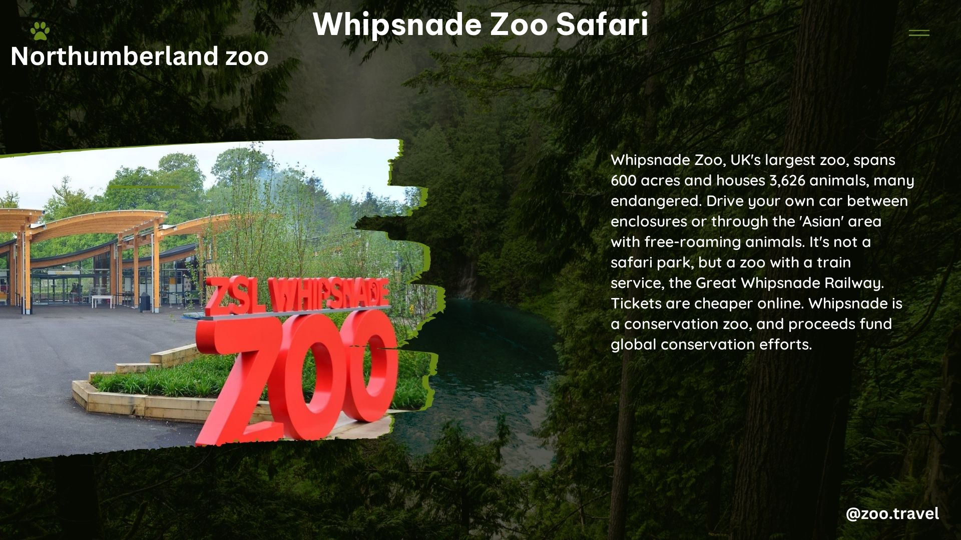 whipsnade zoo safari