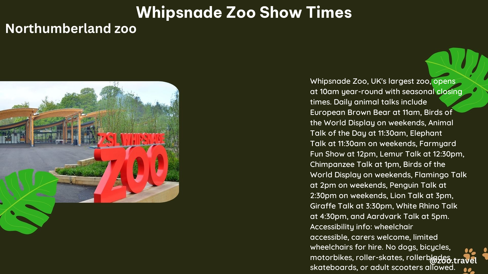 whipsnade zoo show times