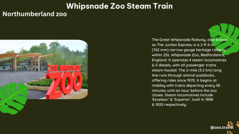 whipsnade zoo steam train