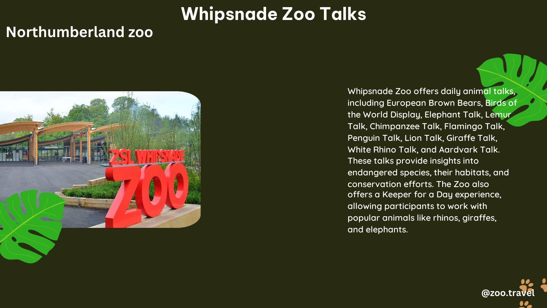 whipsnade zoo talks