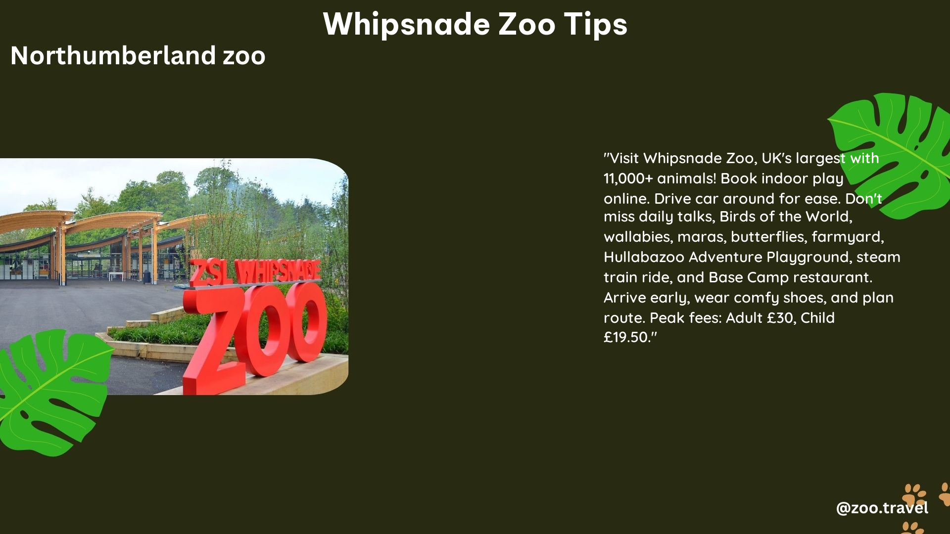 Unlock Incredible Whipsnade Zoo Tips: 5 Awesome Hacks! – zoo.travel