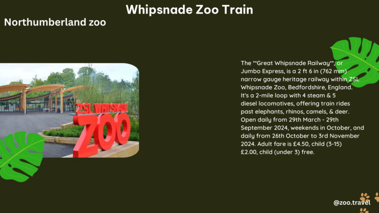 whipsnade zoo train