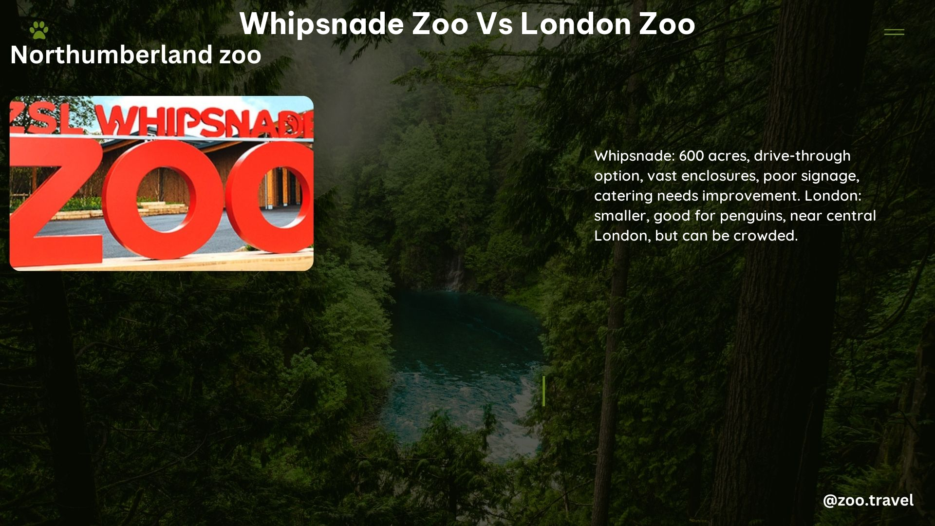 whipsnade zoo vs london zoo