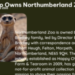 who owns northumberland zoo