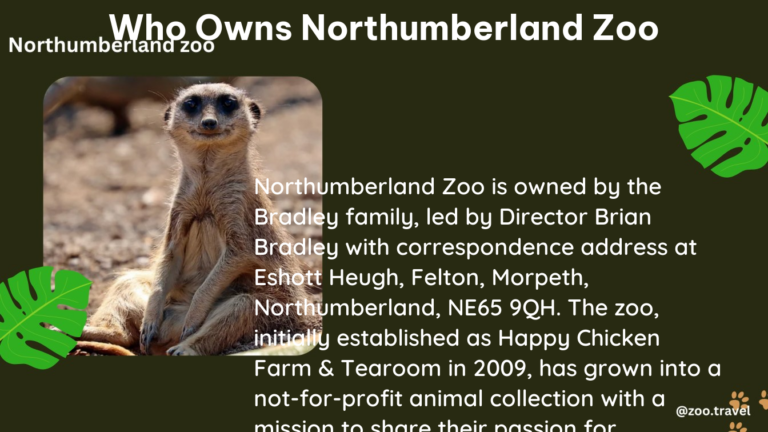 who owns northumberland zoo