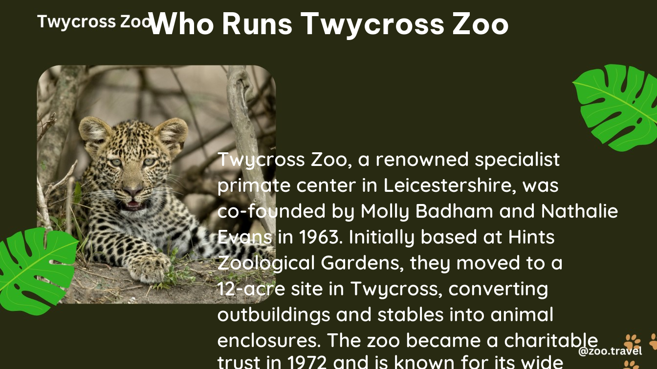 who runs twycross zoo