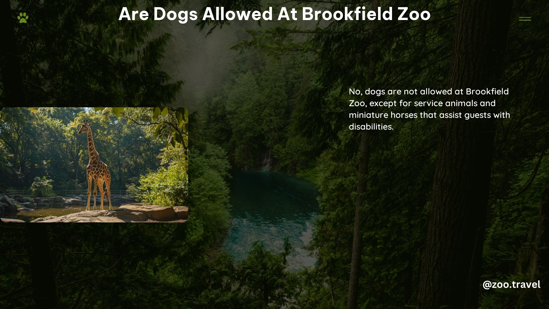 Are Dogs Allowed at Brookfield Zoo