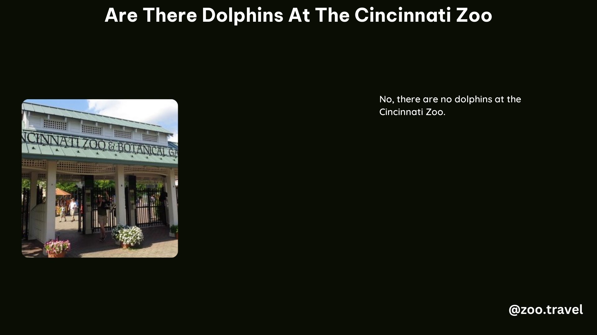 Are There Dolphins at the Cincinnati Zoo