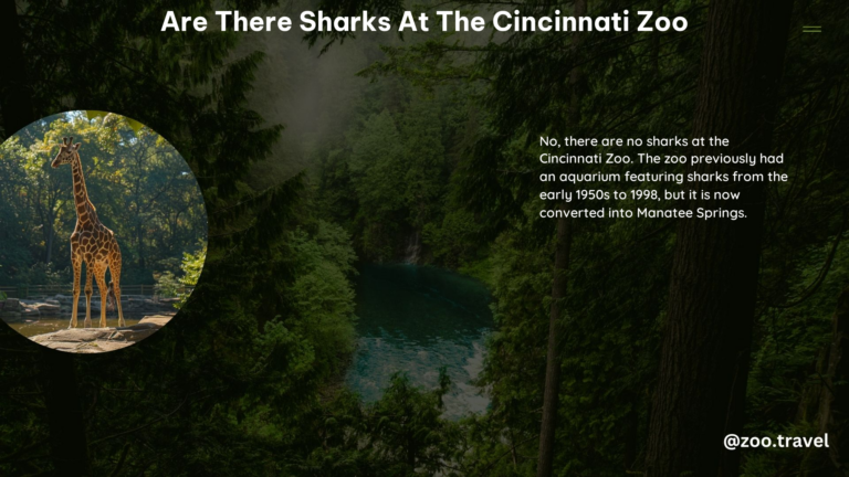 Are There Sharks at the Cincinnati Zoo