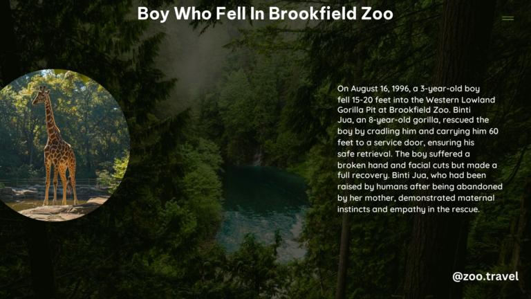 Boy Who Fell in Brookfield Zoo 1