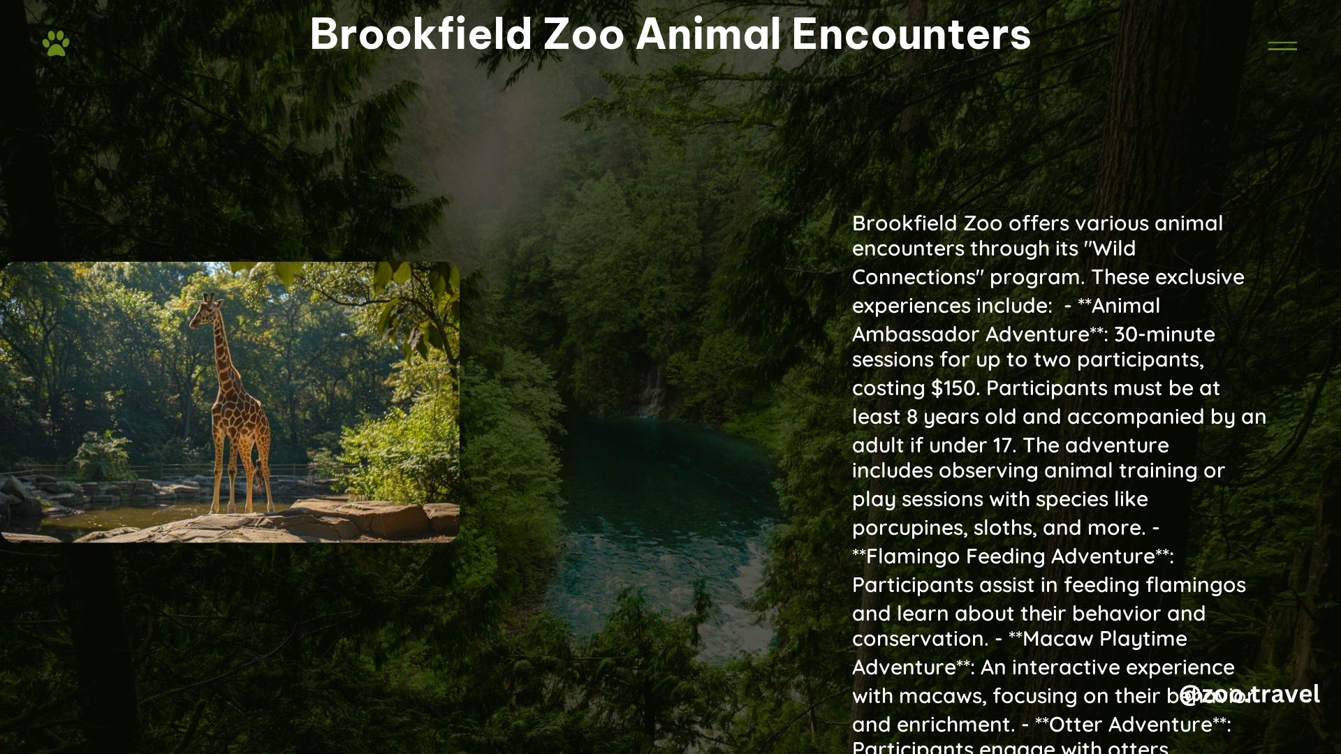 Brookfield Zoo Animal Encounters