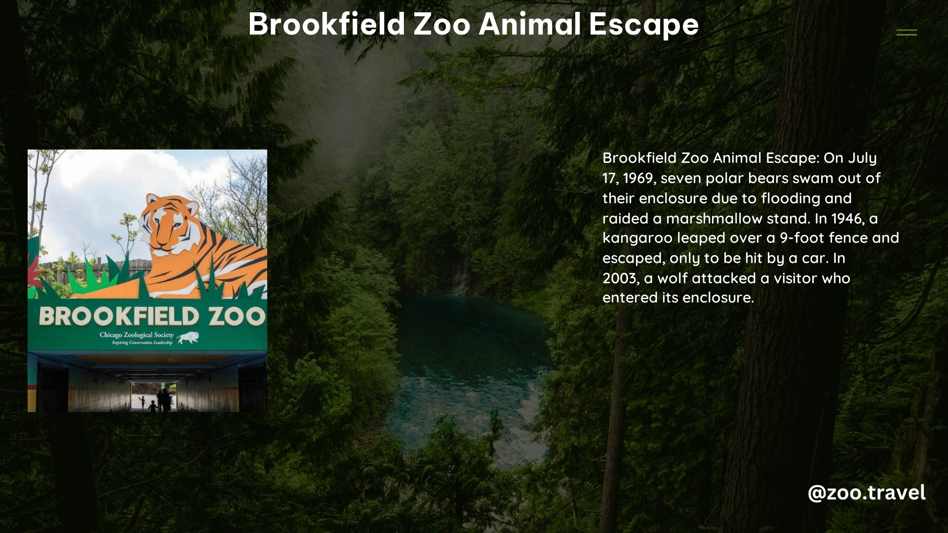 Brookfield Zoo Animal Escape