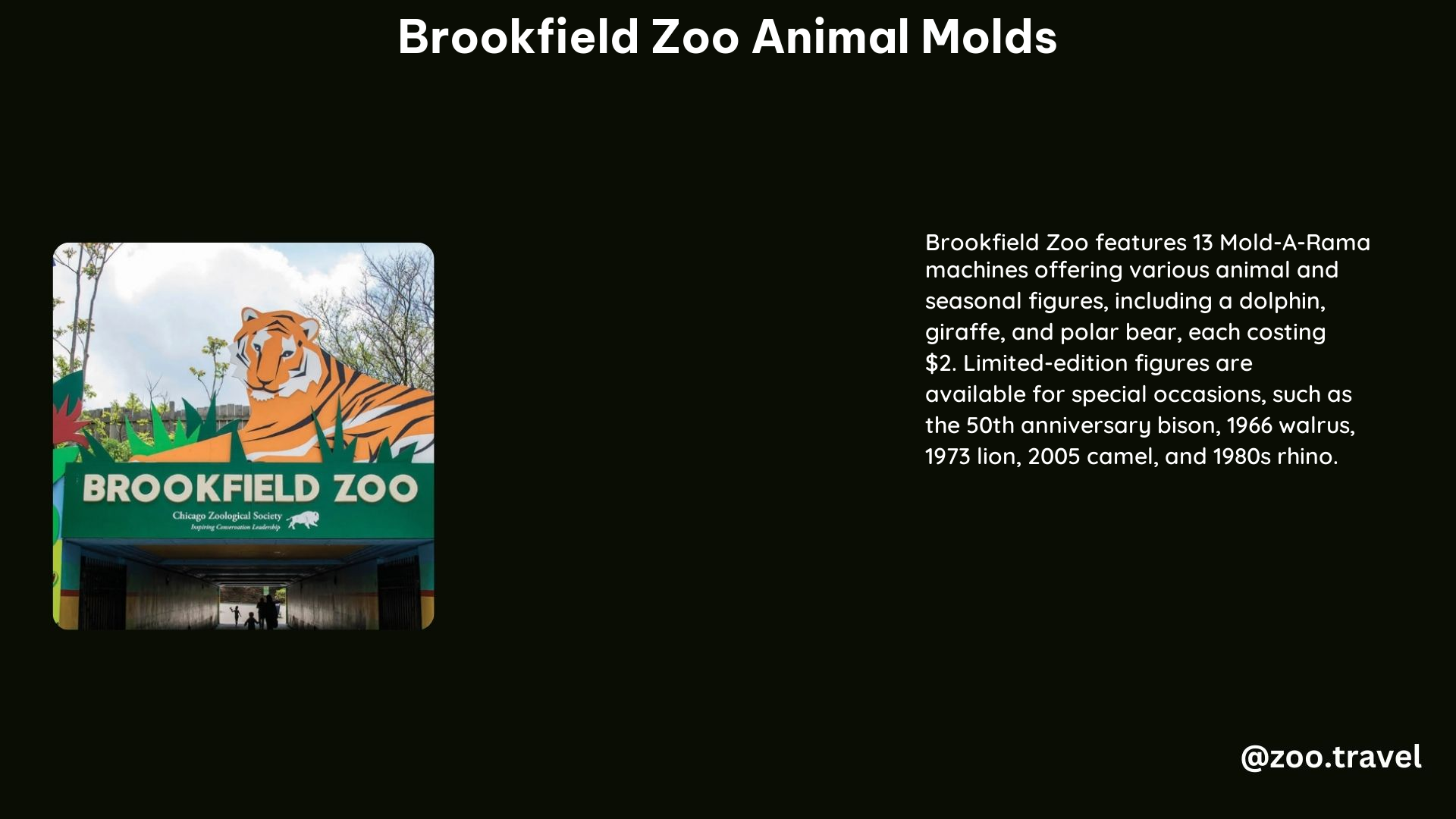 Brookfield Zoo Animal Molds