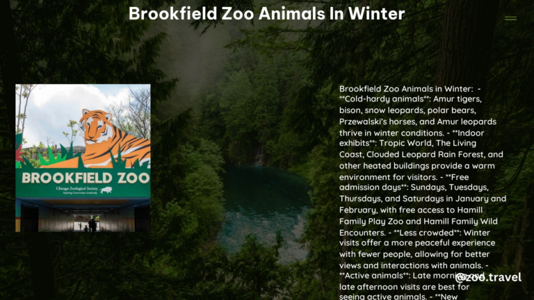 Brookfield Zoo Animals in Winter