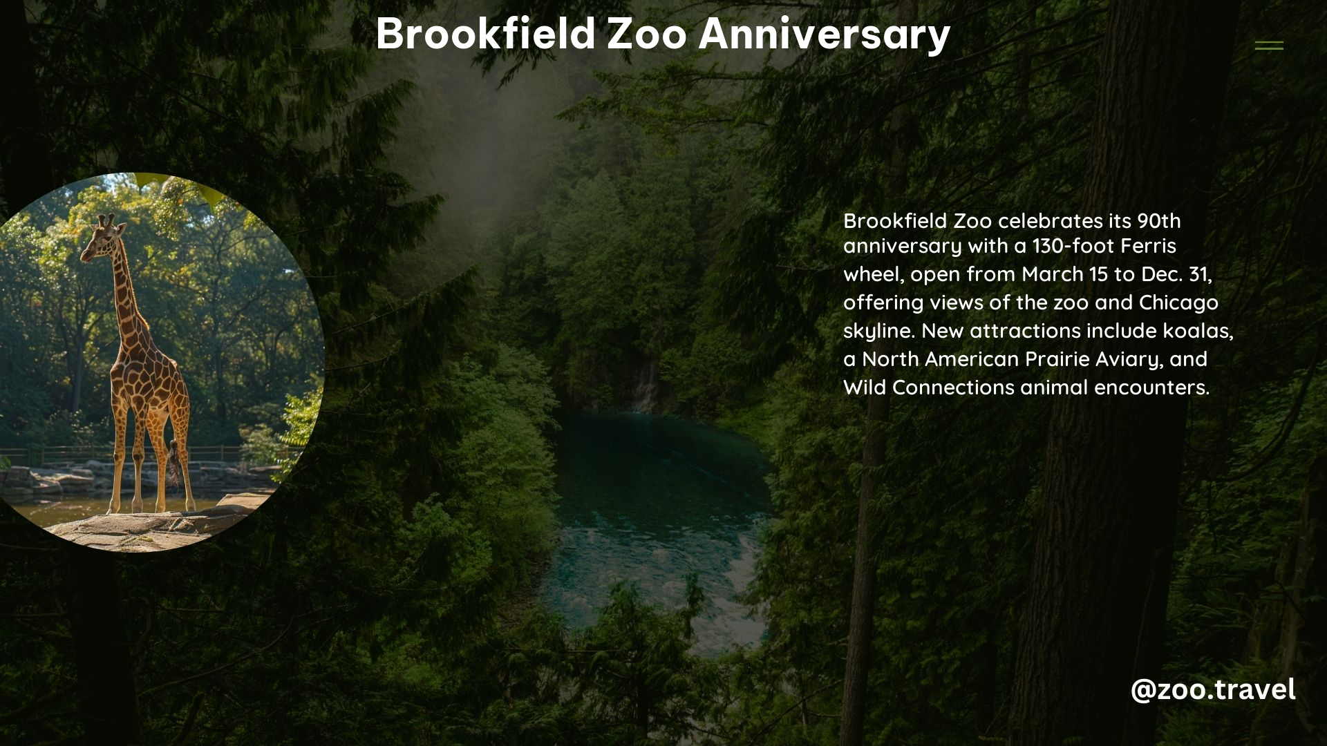 Brookfield Zoo Anniversary