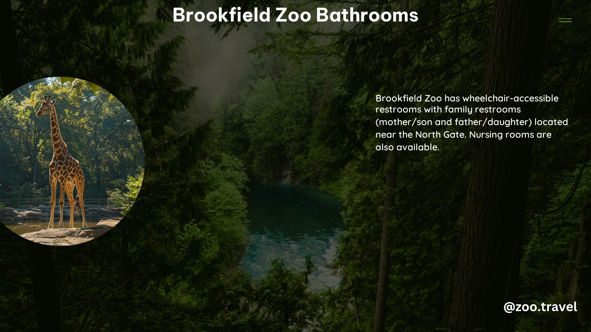 Brookfield Zoo Bathrooms