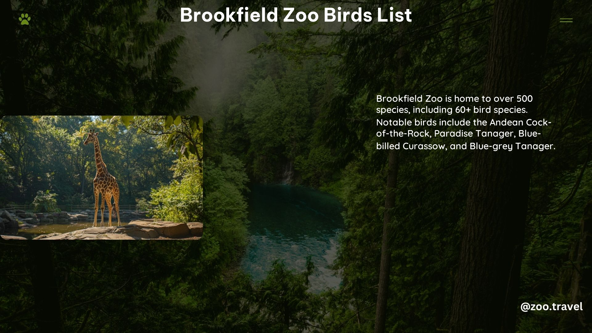 Brookfield Zoo Birds List