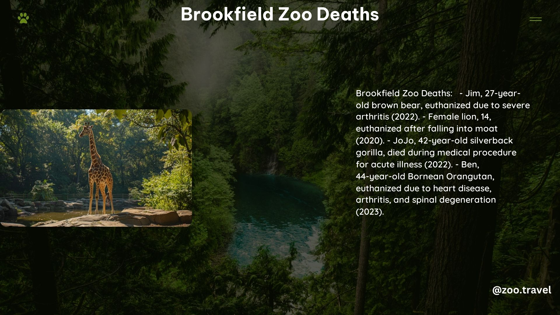 Brookfield Zoo Deaths