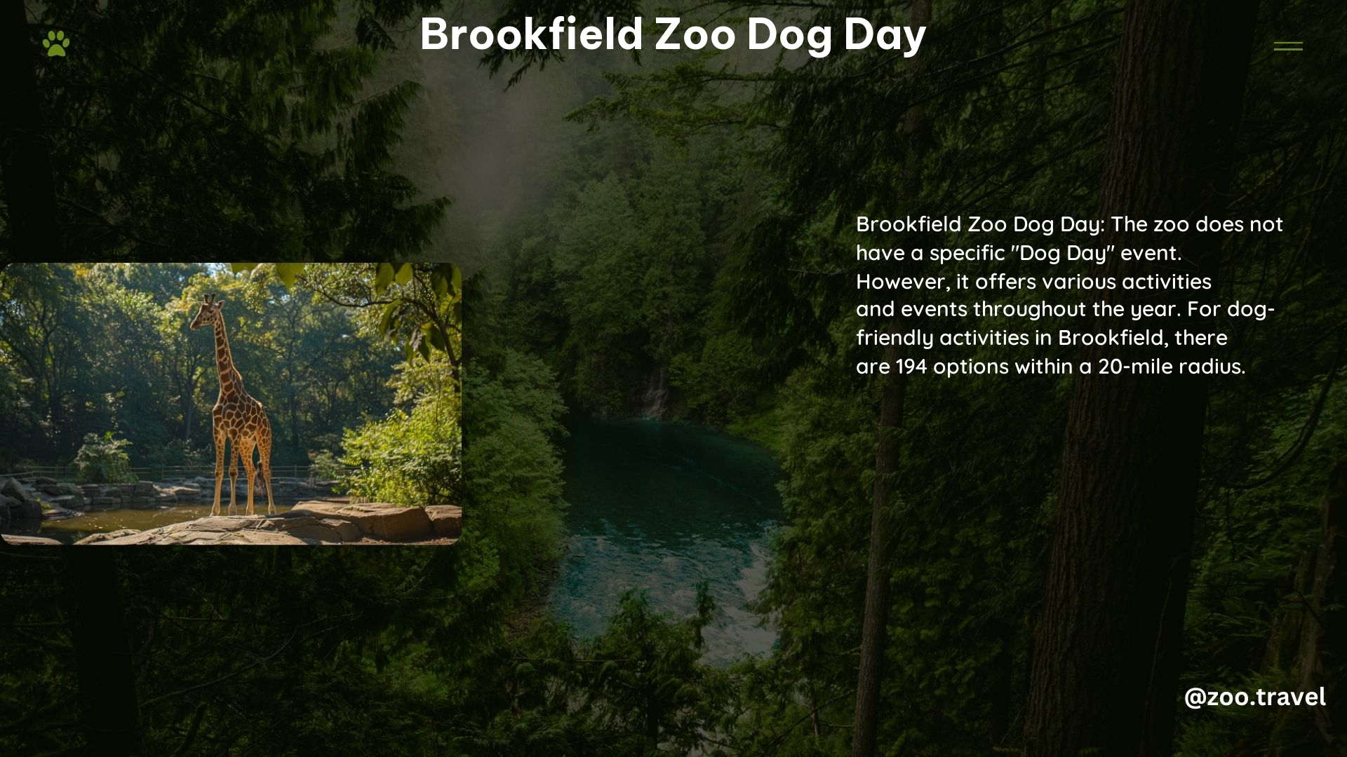 Brookfield Zoo Dog Day