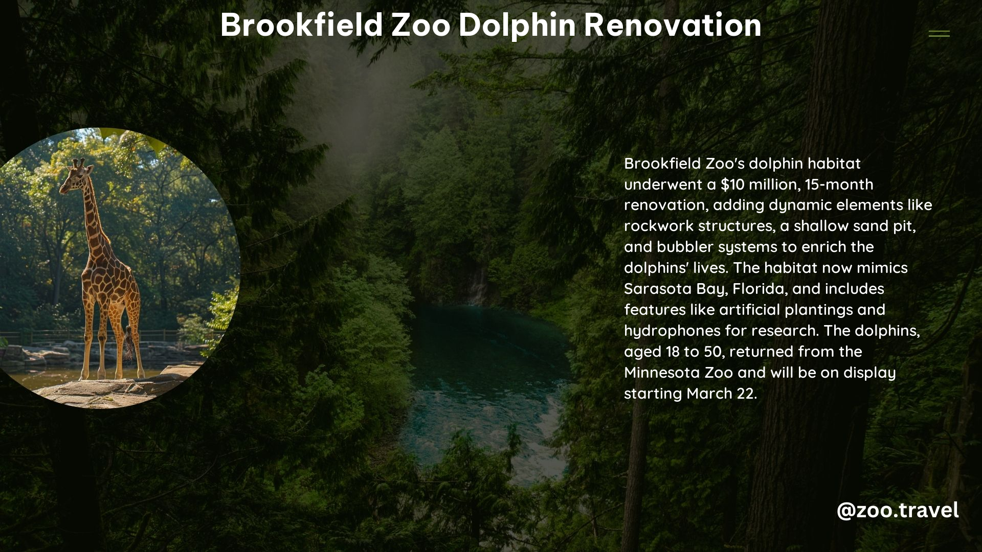 Brookfield Zoo Dolphin Renovation